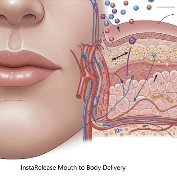 ULTRATRUTIDE peptide strip — Viva Metabolic